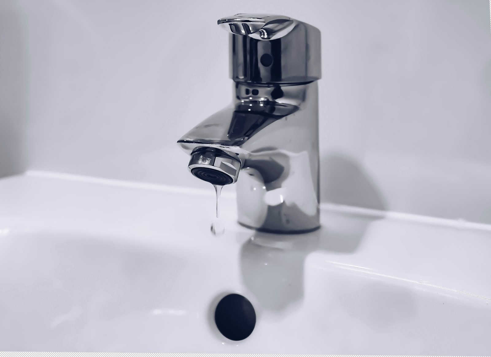 Scribner's Plumbing Services — plumber in Phoenix, AZ